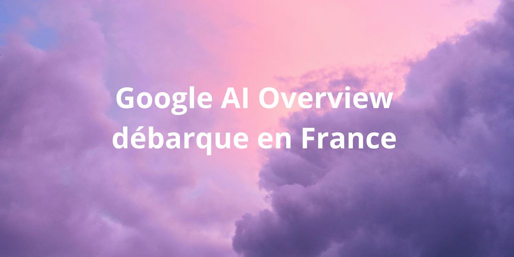 Google AI Overview France